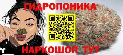 тгк Дубна