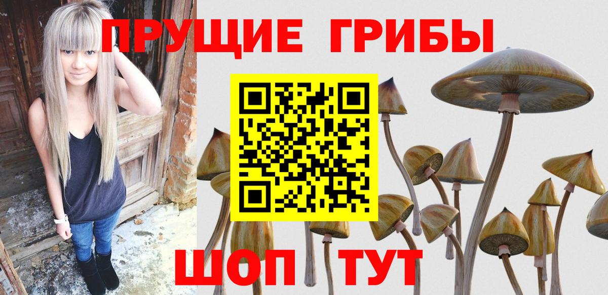Галлюциногенные грибы мухоморы Новоалександровск
