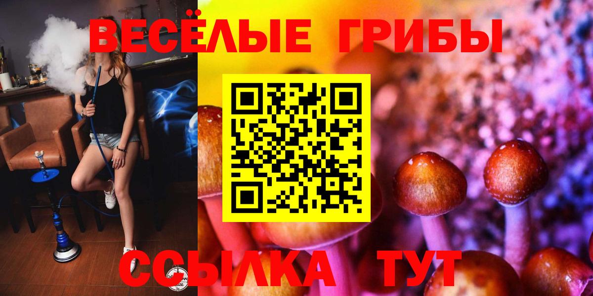 Псилоцибиновые грибы Cubensis  Псилоцибиновые грибы GOLDEN TEACHER  Вход с VPN  Новоалександровск 
